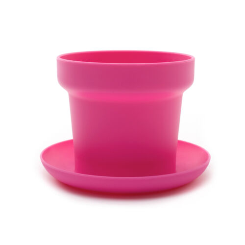 Green plant pot pink