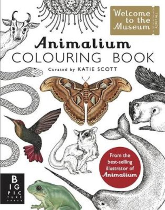Animalium colouring book