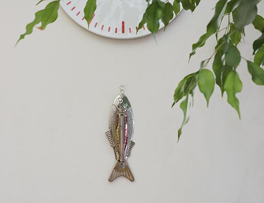 Fish thermometer