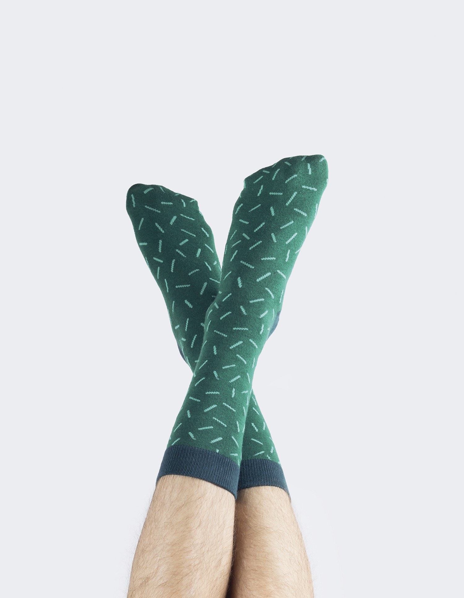 Cactus socks astros