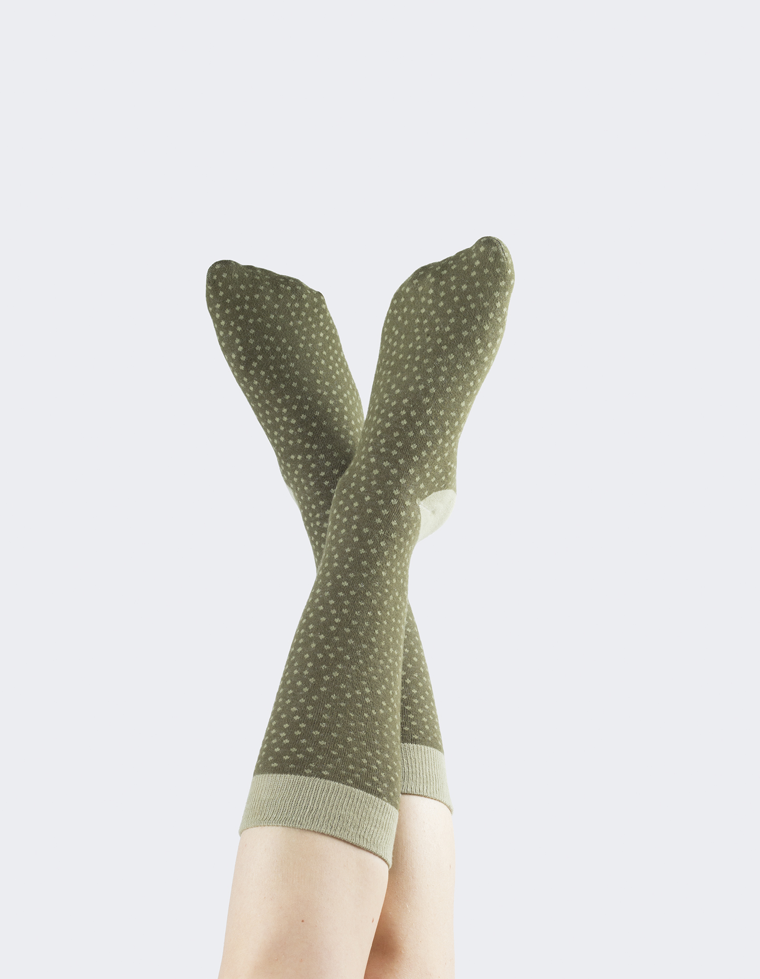Cactus socks mammillaria