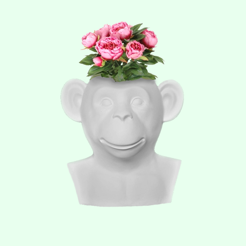 Vase monkey