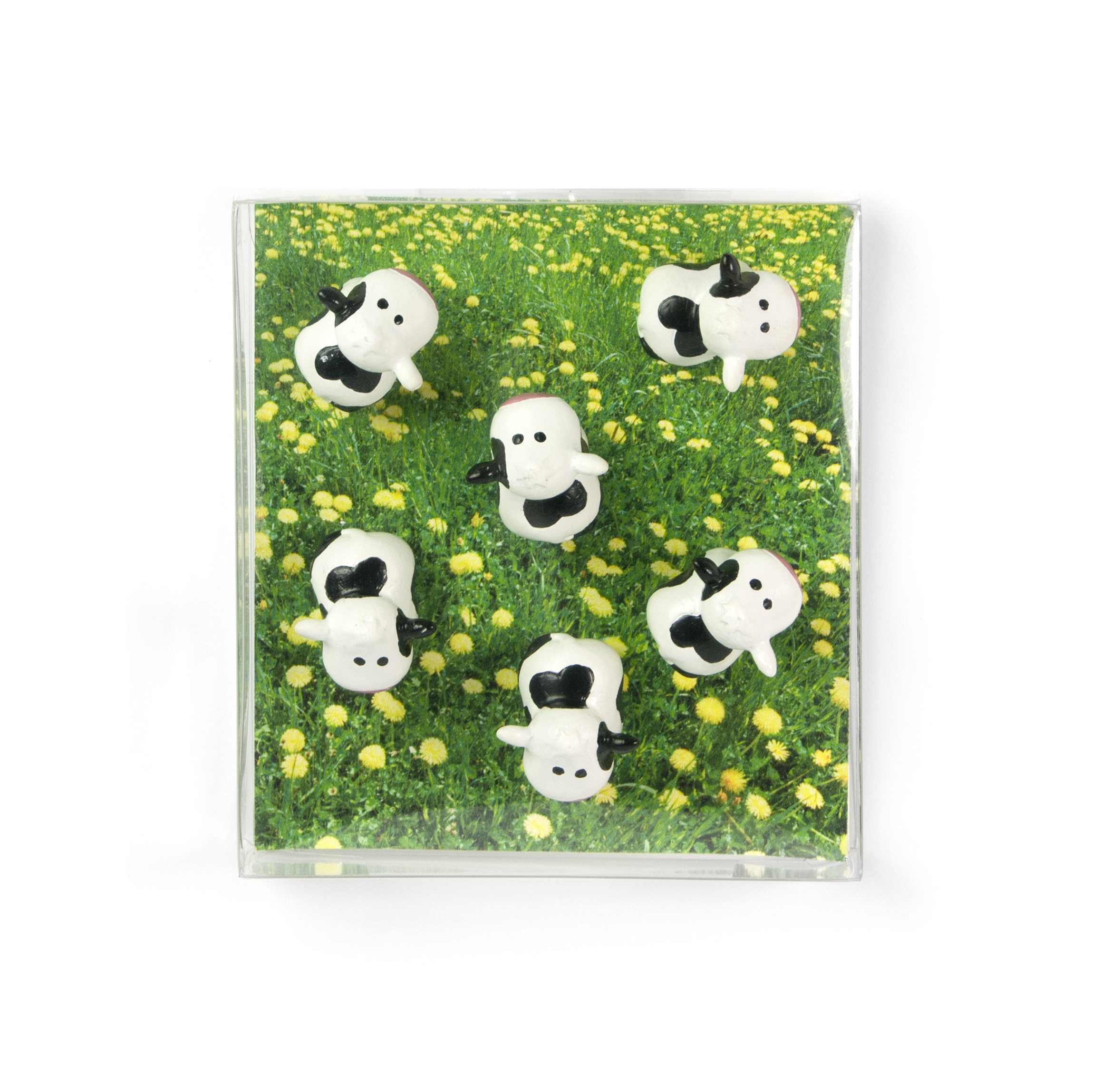 Magnet cow set of 6