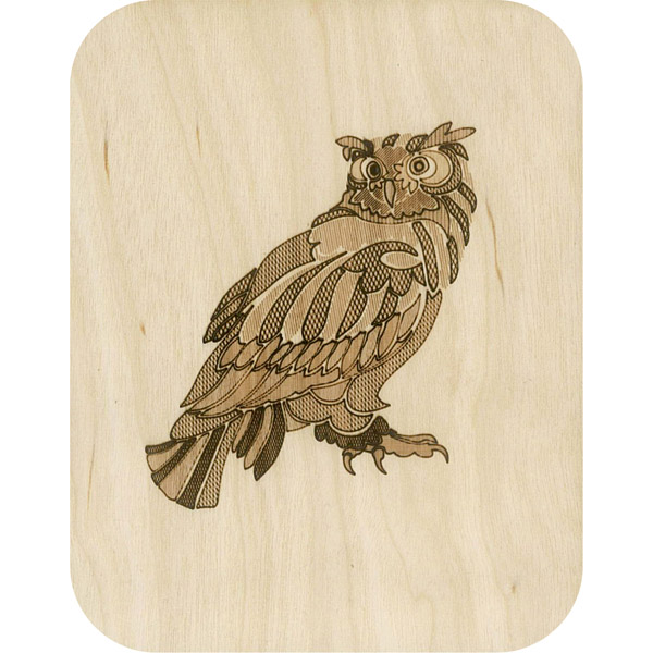 Wooden card big owl