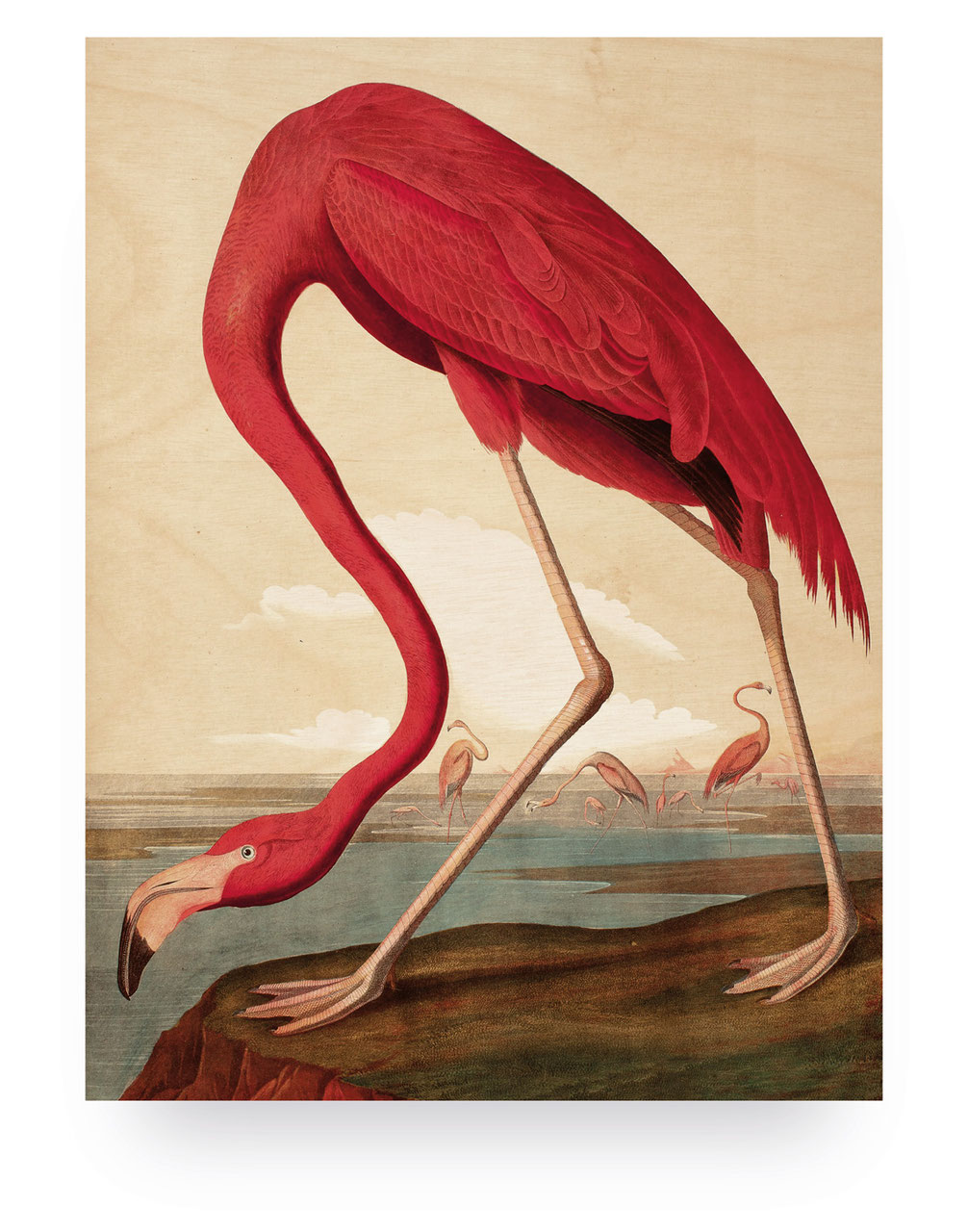 Wood print flamingo medium