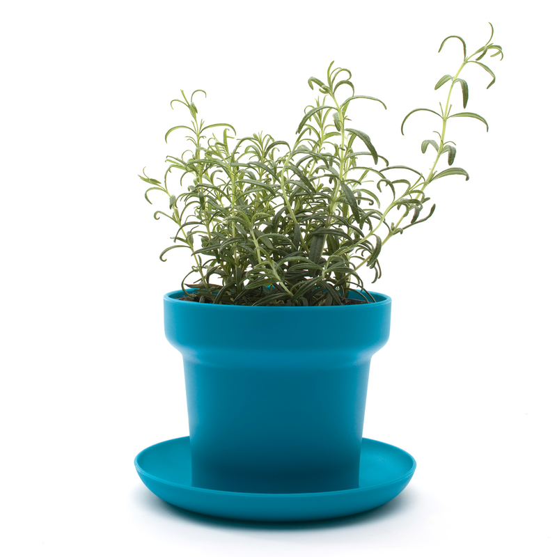 Green plant pot turquoise