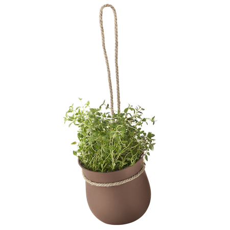Grow it flower pot terracotta