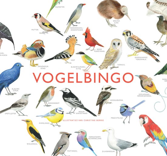 Vogel bingo