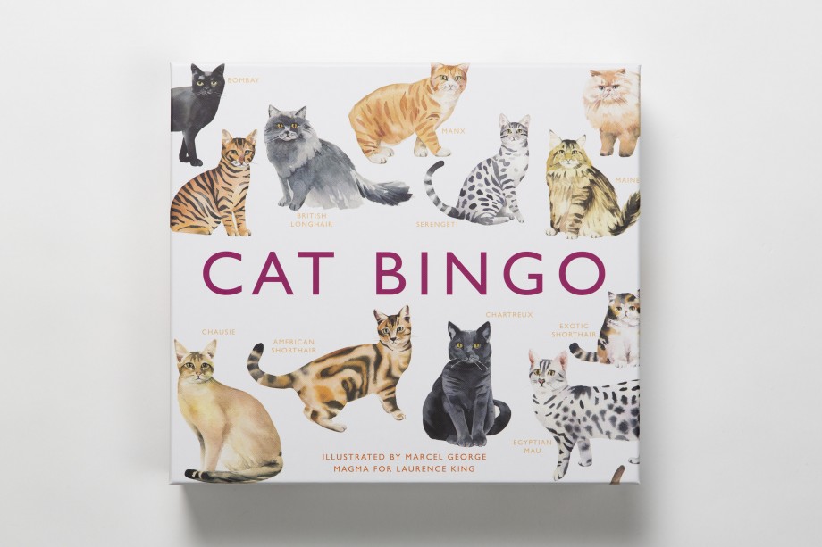 Cat bingo