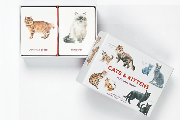 Cats & kittens memory spel