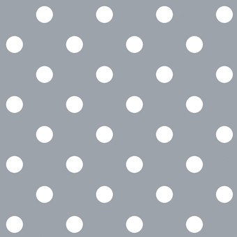 Bikecap grey dot