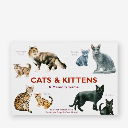 Cats & kittens memory spel