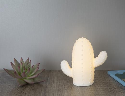 Cactus led light small