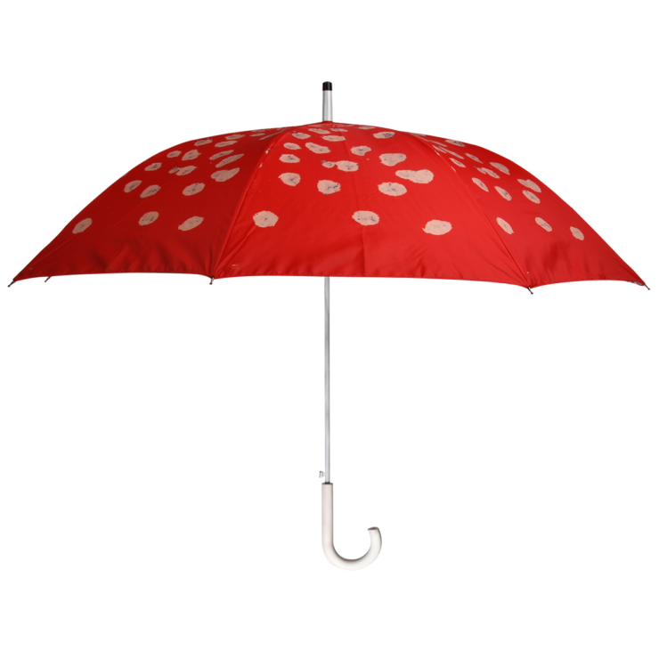 Paraplu vliegenzwam