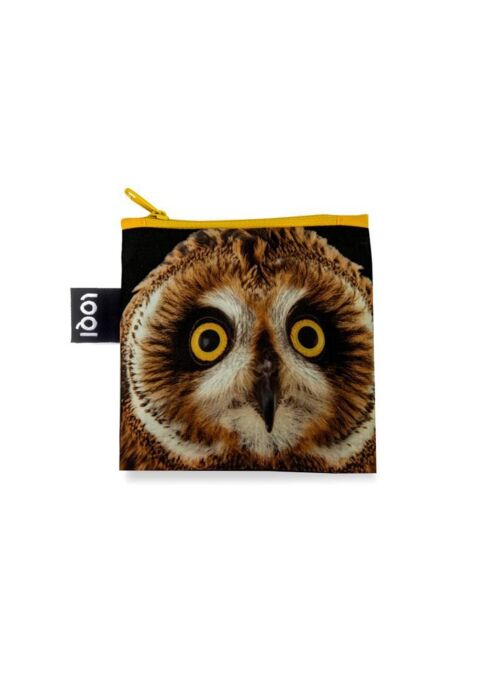Loqi National Geographic - Short eared Owl