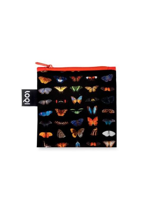 Loqi Nat. Geographic - Butterflies & Moths