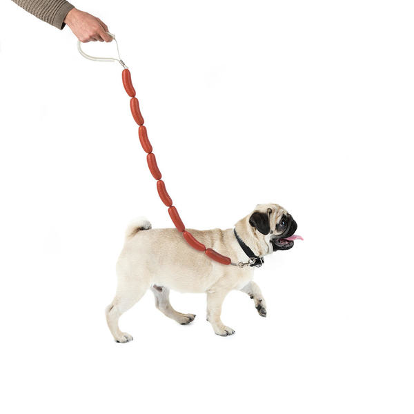 Dog leash hotdog