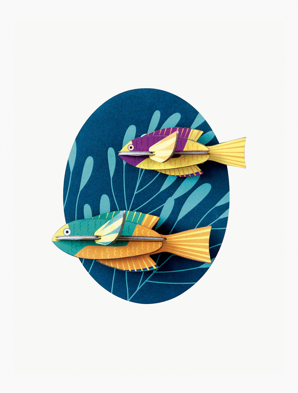 Wall decor spanish hogfishes