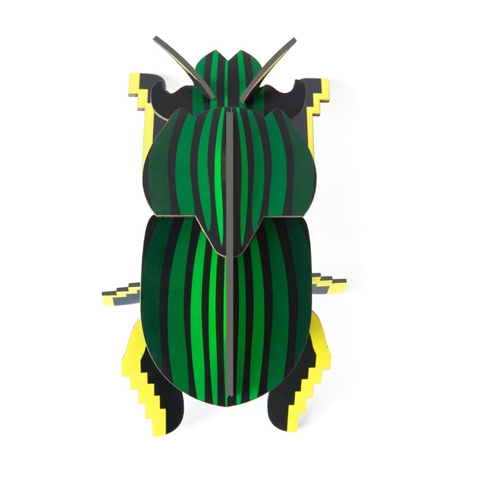 Little wonders of nature scarab beetle