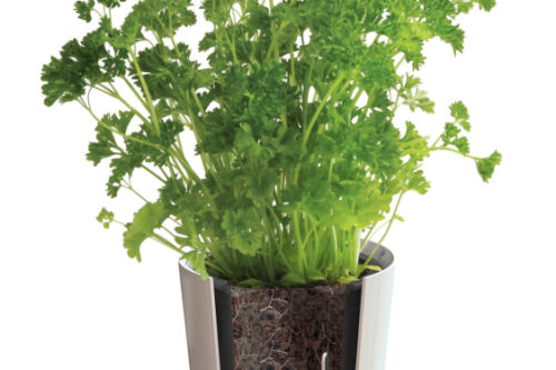 Hydro herbs pot twin nordic blue