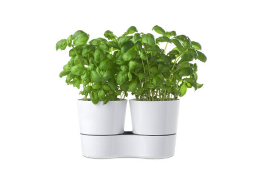 Hydro herbs pot twin nordic blue