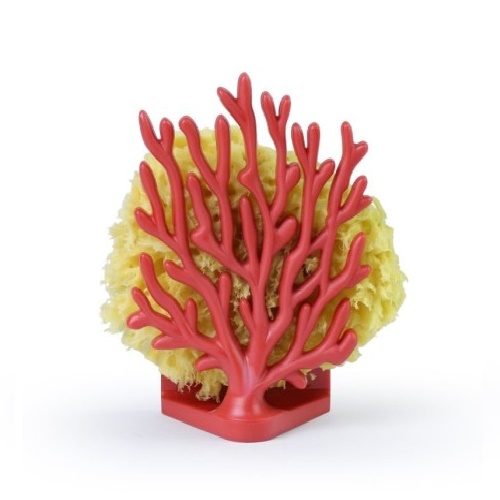 Coral sponge holder red
