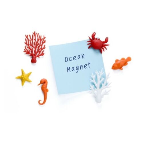 Ocean ecology magnets
