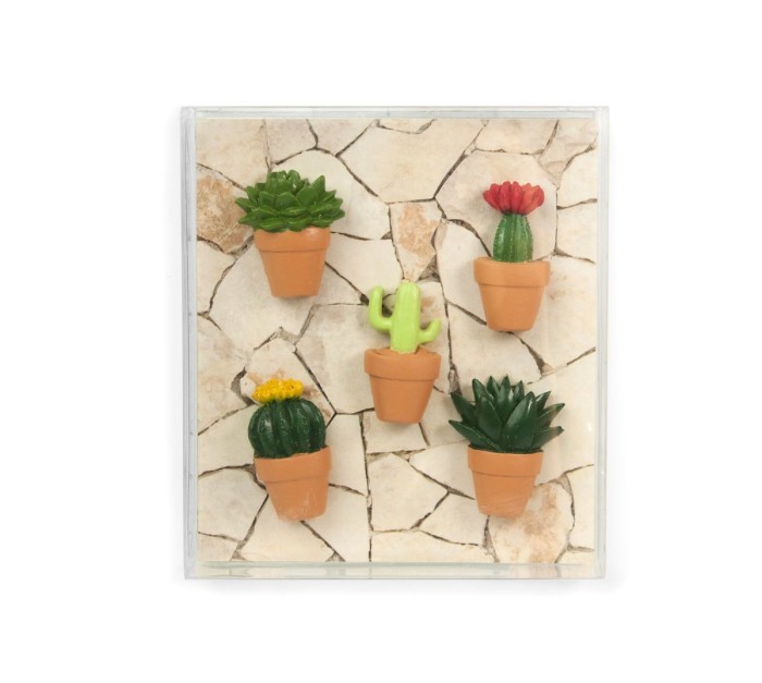 Cactus magnet set van 6