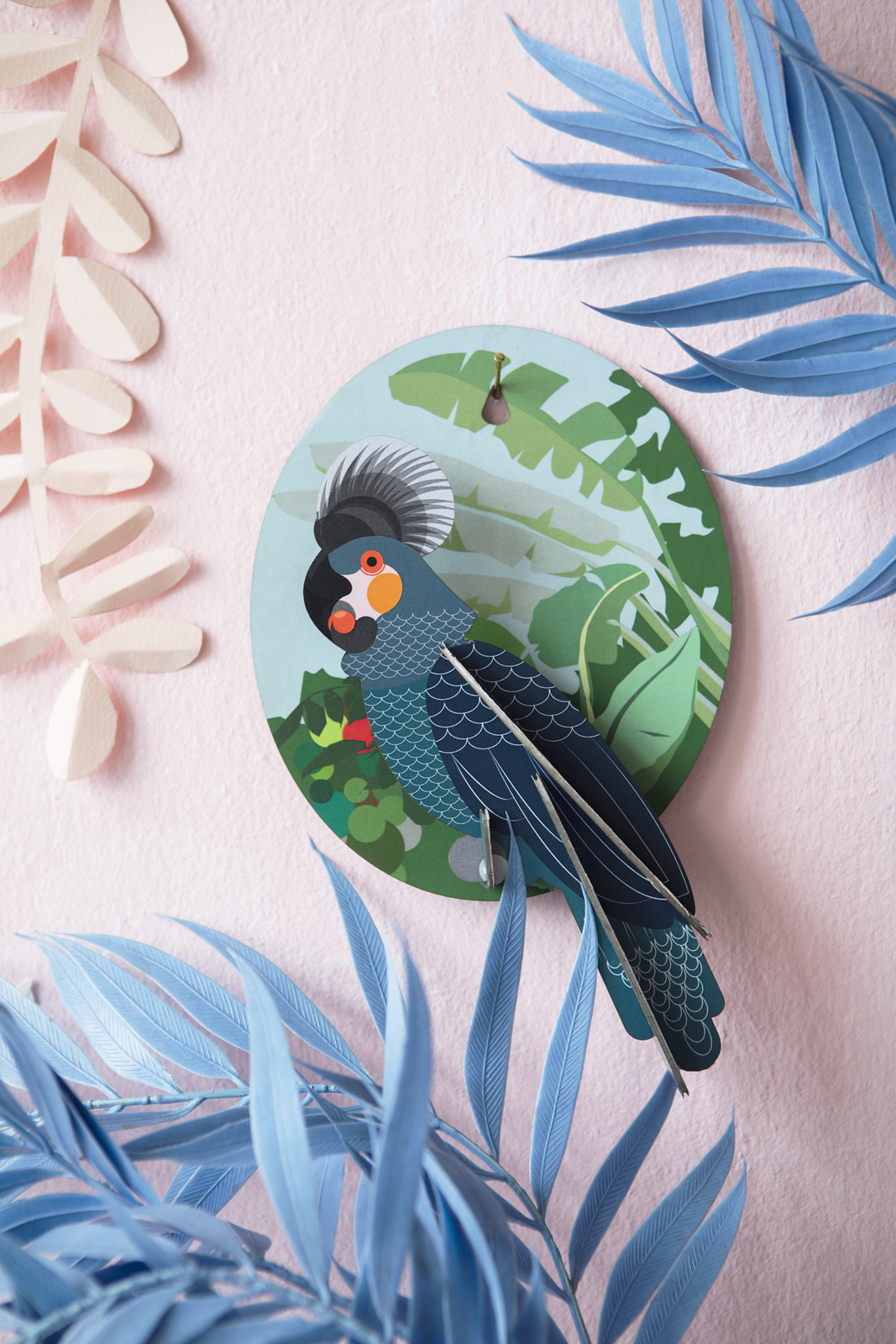 Wall decoration grey parrot