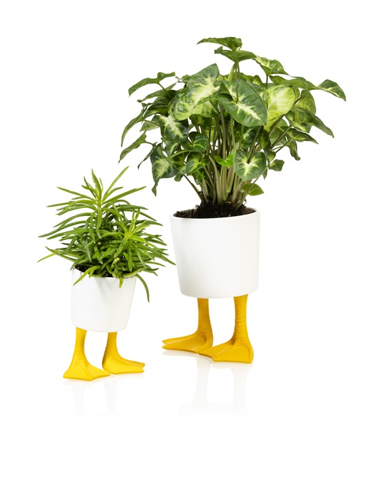 Duck feet planter large