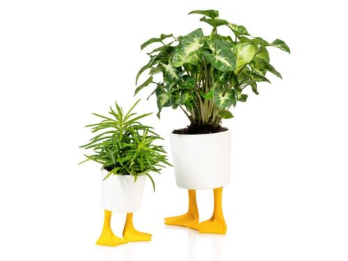 Duck feet planter small