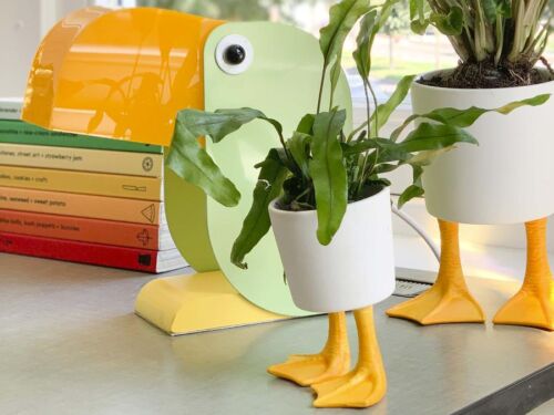 Duck feet planter small