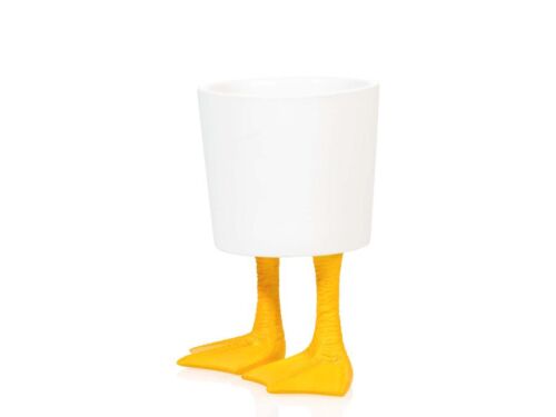 Duck feet planter small