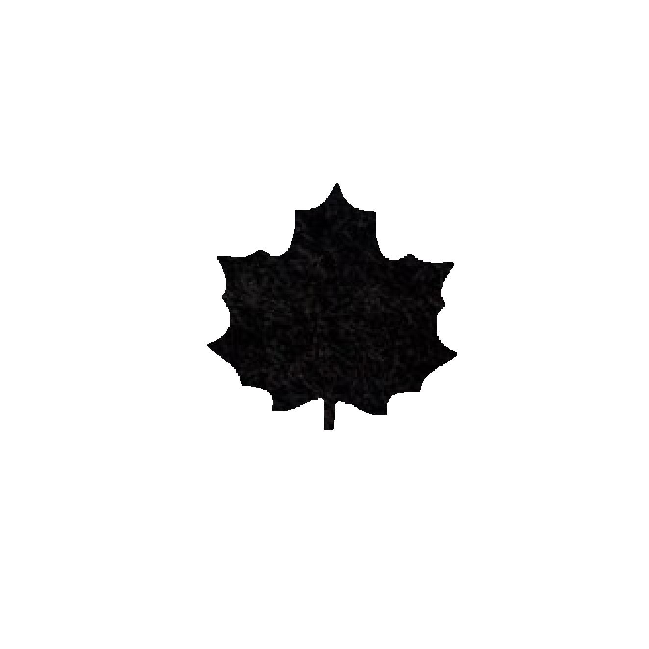 Onderzetter blad maple black 02