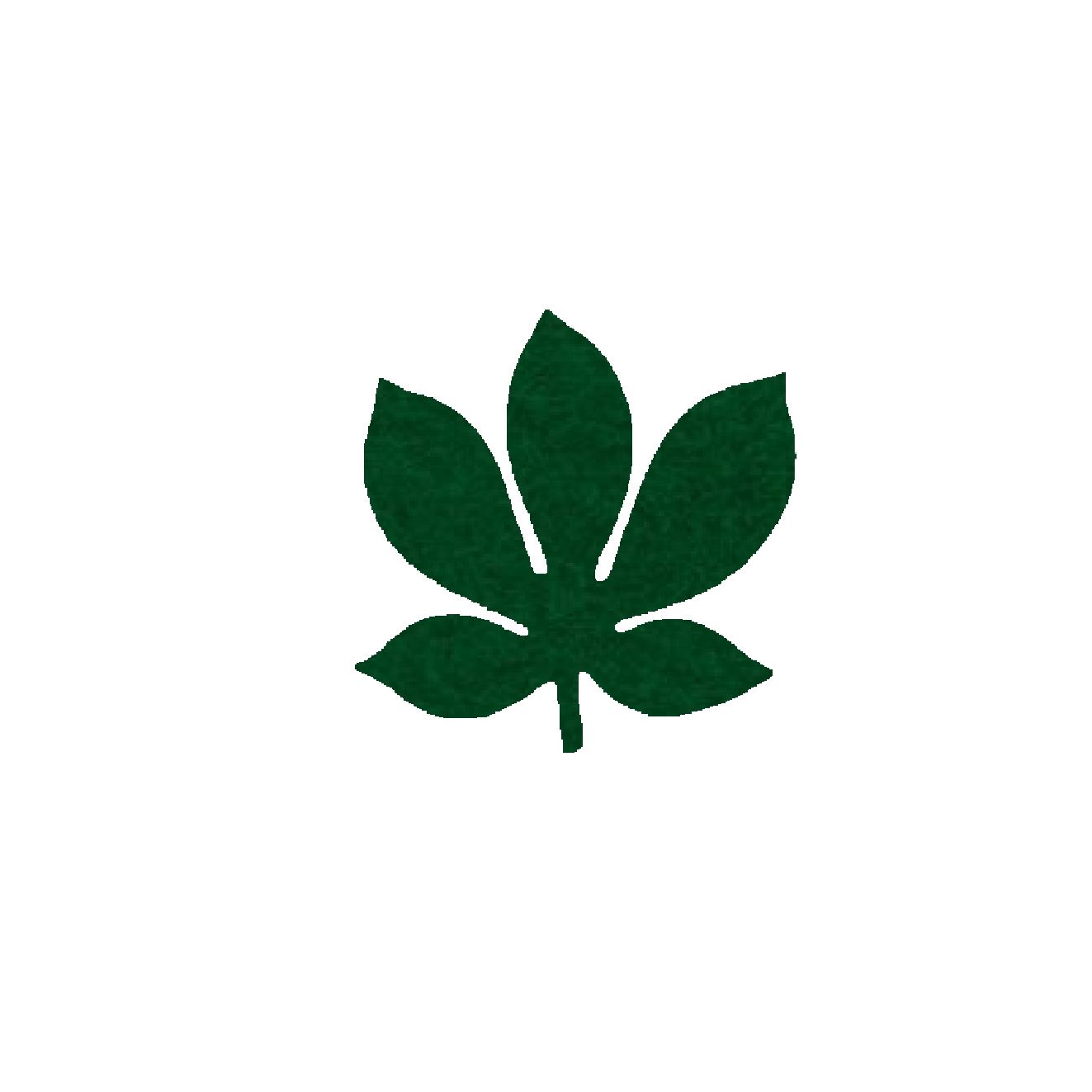 Onderzetter blad chestnut fir green 44
