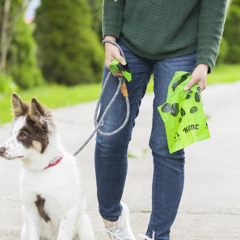 Eco -friendly doggy bags