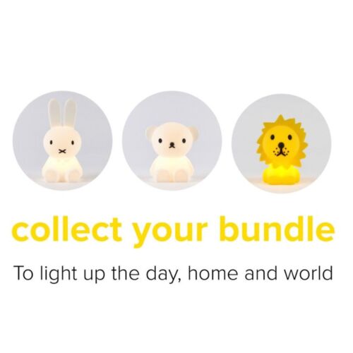 Lion bundle of Light