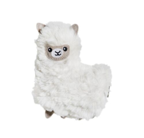 Pocket pal Llama