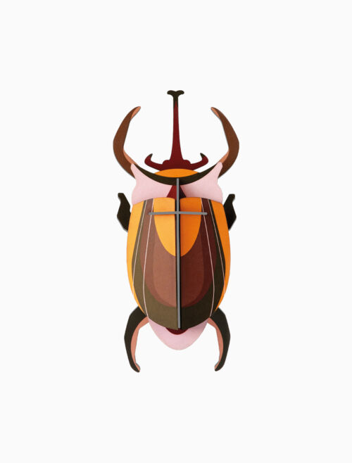 Elephant beetle