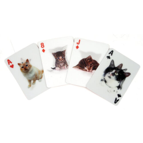 3D cats playing cards