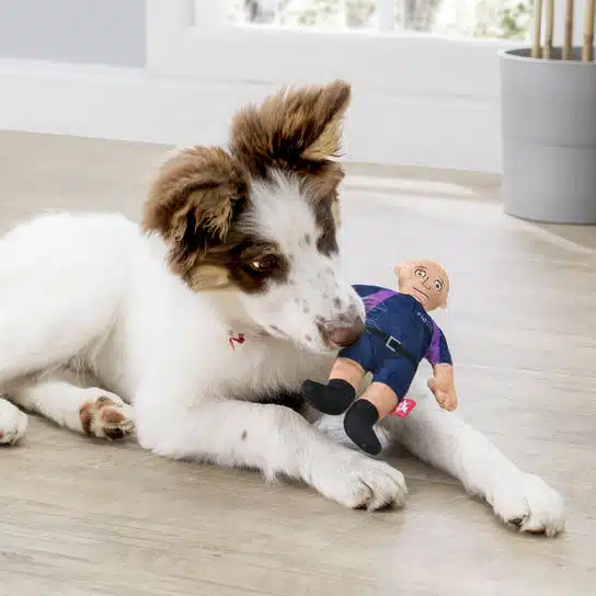 FidOs squeeky plush toy