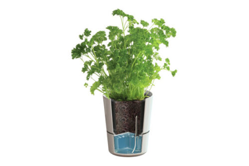 Hydro herbs large nordic green