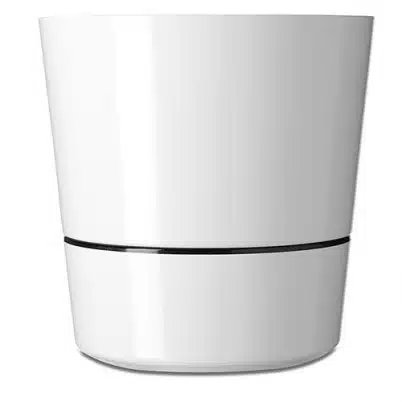 Hydro herbs large wit