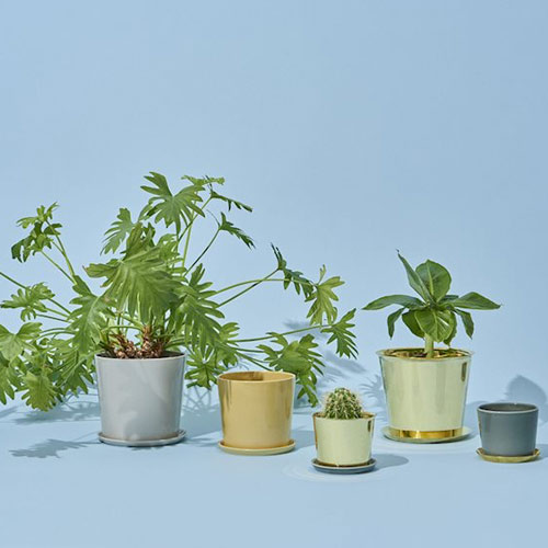botanical pot M light grey