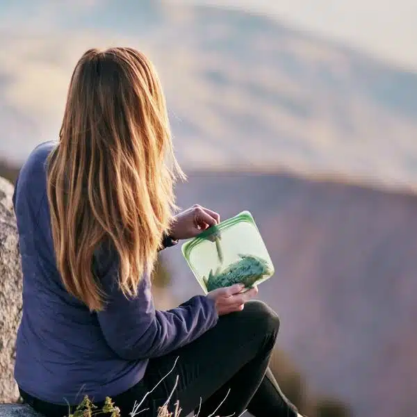 Stasher Bag Mojave Agave