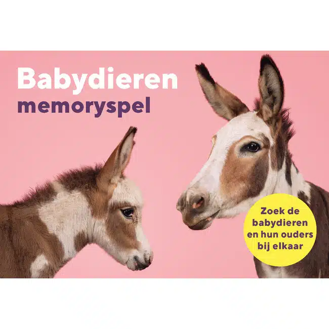 Baydieren memoryspel