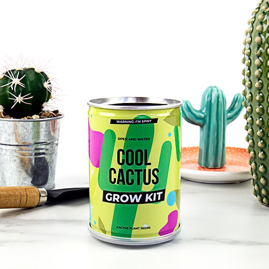 Coole cactus