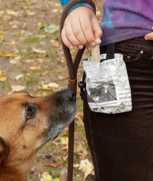 Kikkerland Fake News treatbag