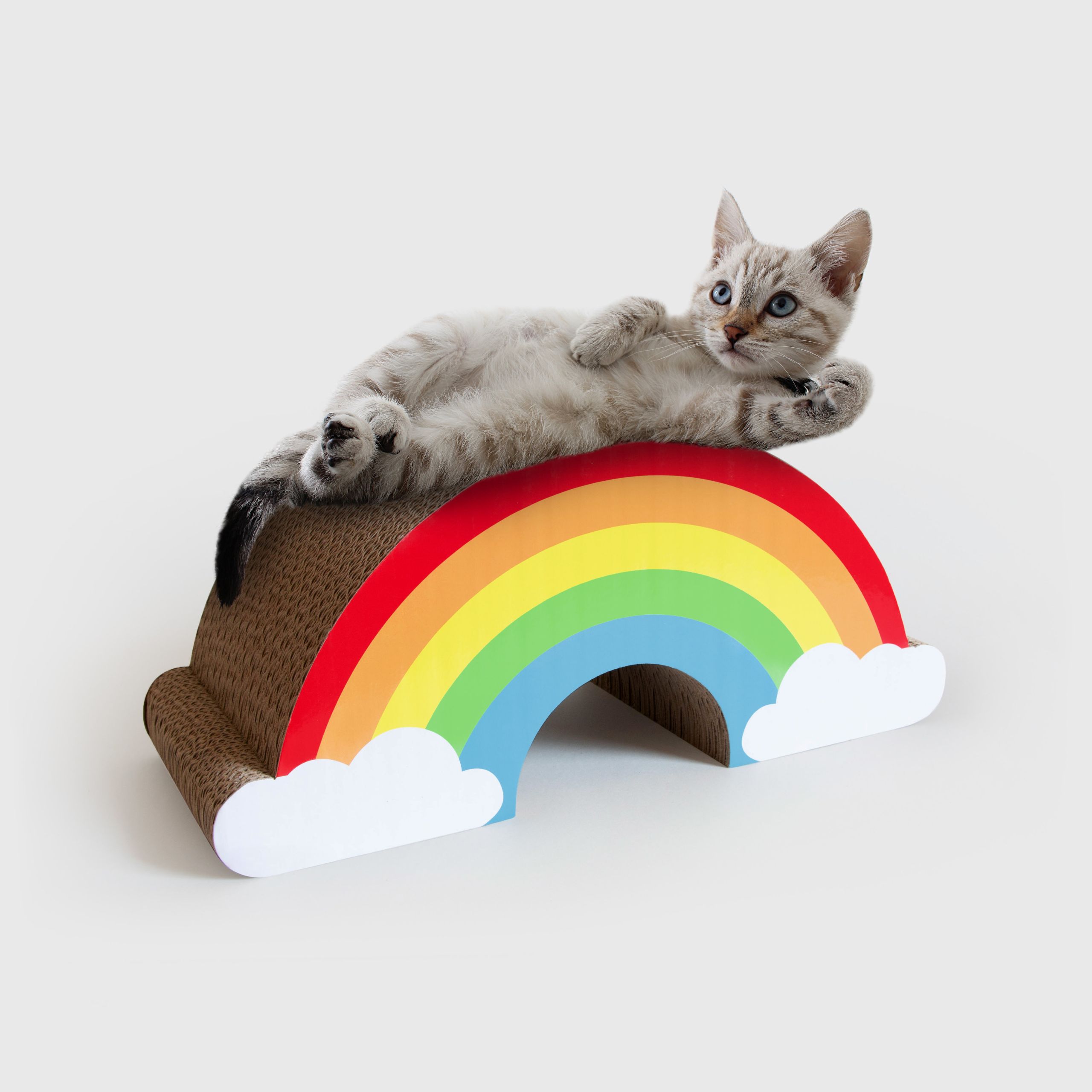 Rainbow cat scratcher