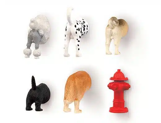 Dog butt magnets set of 6